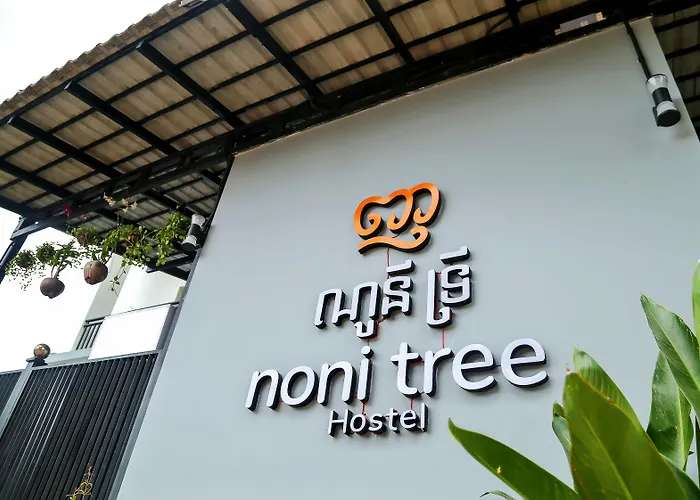 Noni Tree * Siem Reap