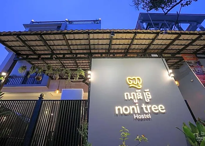 Noni Tree